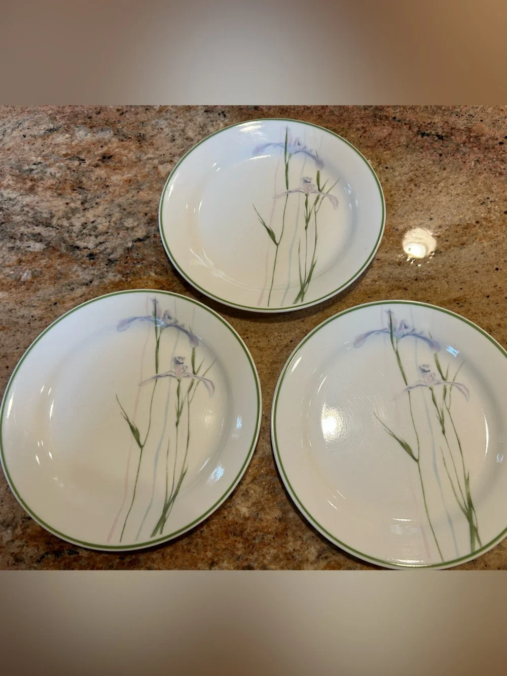Corelle “Shadow Iris” Set of 3 Soup Bowl 7” & Salad Plate 7.25” No Chips 6 units